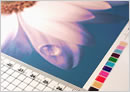 read about our Prepress services